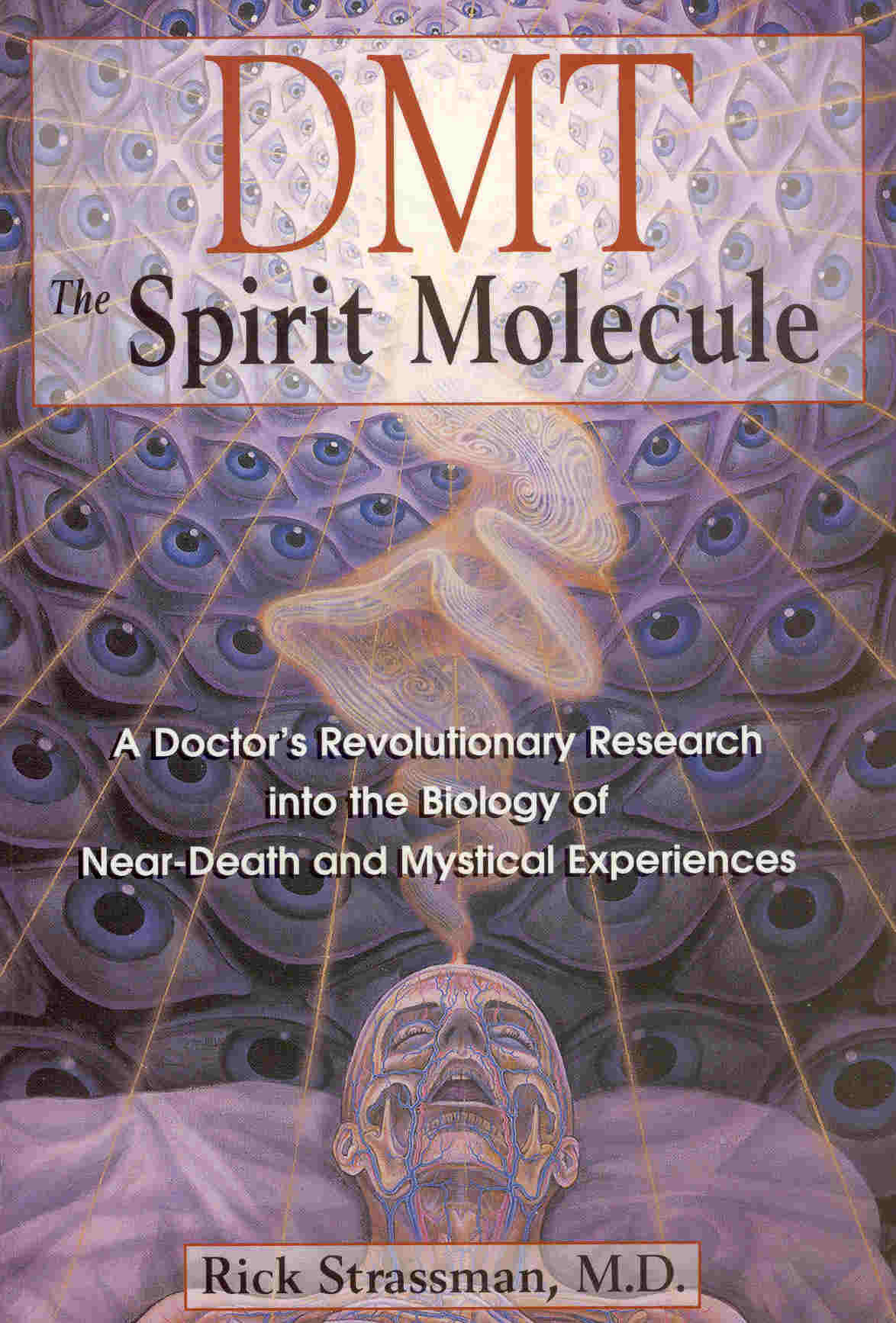 DMT-Book.jpg