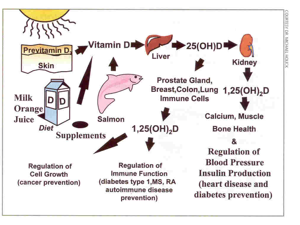 Vitamin D günstig