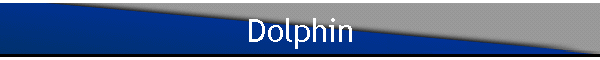 Dolphin