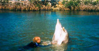 Dolphin assisted therapy for spinal cord injury (SCI) and physical disability